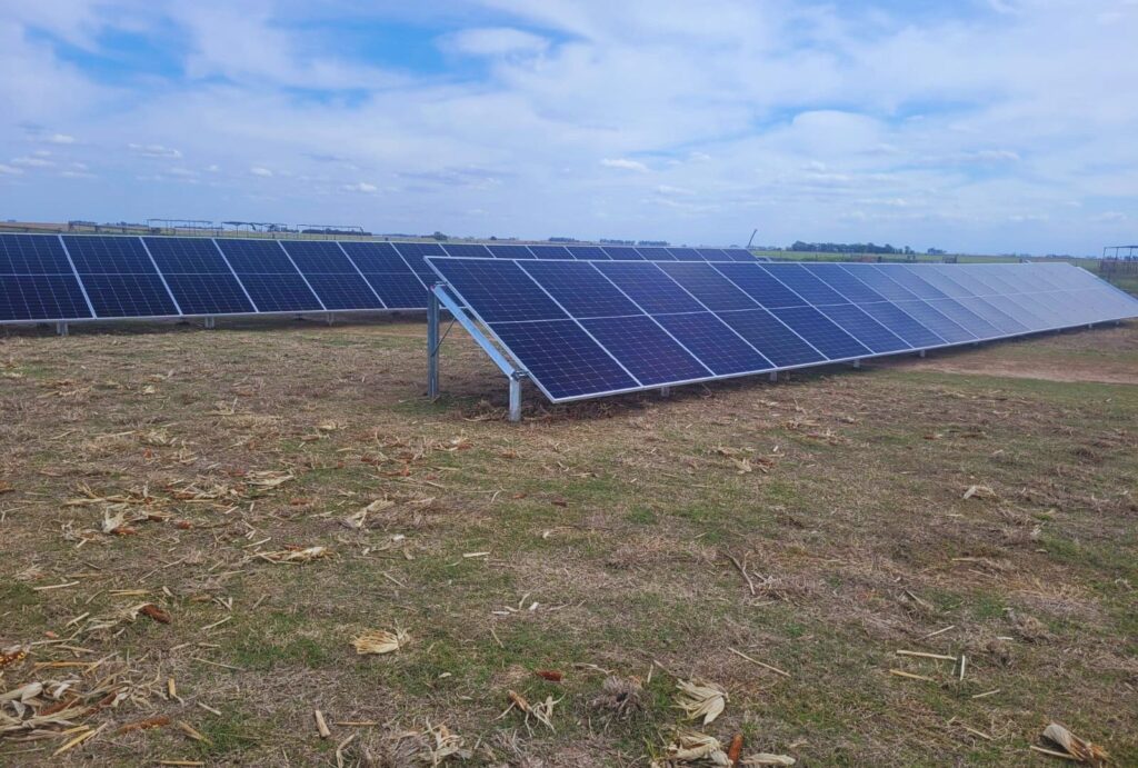 Energía solar para regar: una alternativa para campos sin acceso a la red eléctrica
