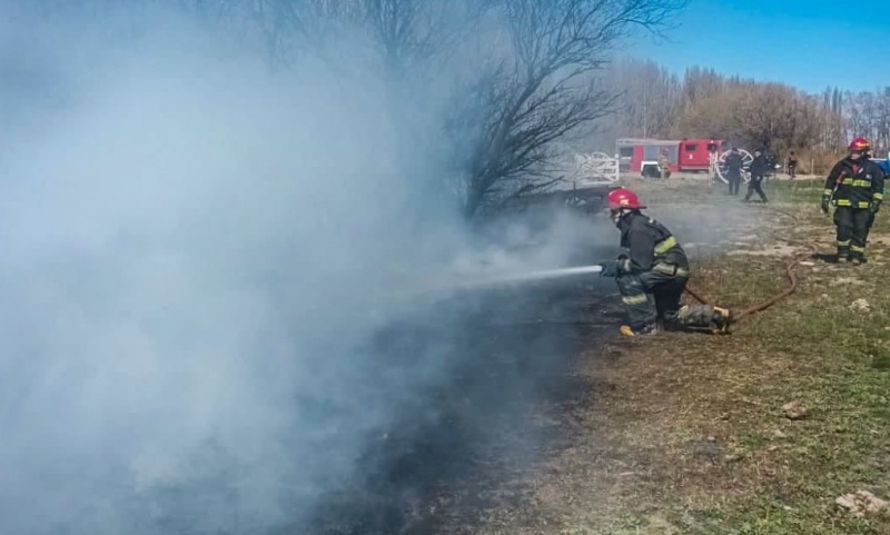 Un incendio de residuos se propag� hacia pastizales y �rboles