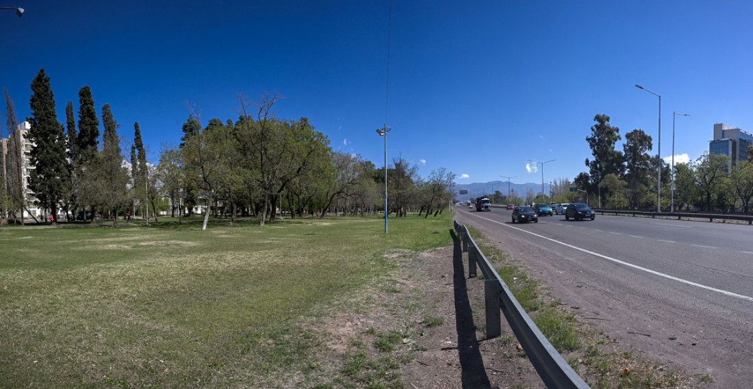 Ms rboles, menos ruido: el arbolado reduce hasta 17 decibeles la contaminacin sonora en Mendoza