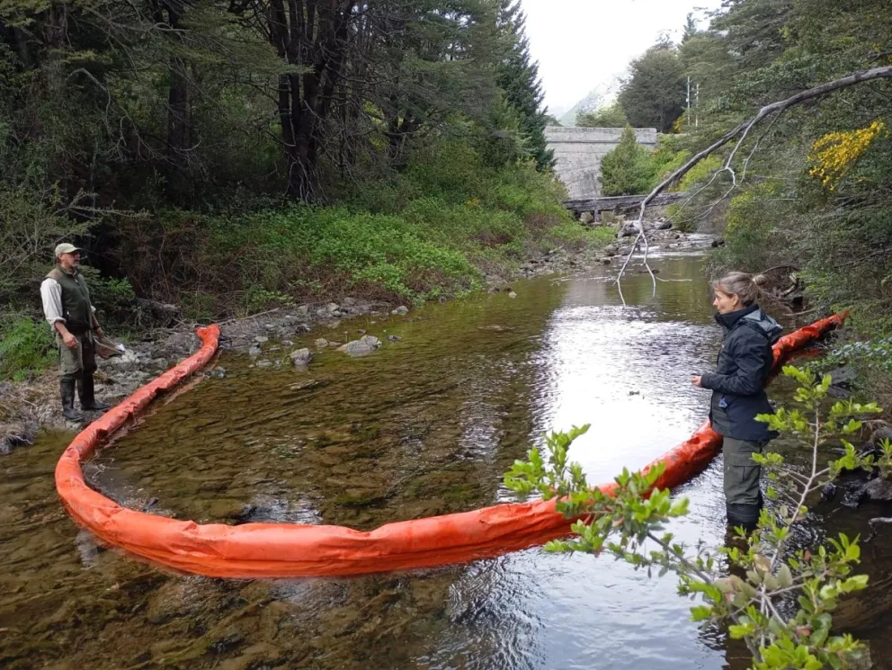 Implementaron un operativo ambiental tras siniestro vehicular en el arroyo Guillelmo