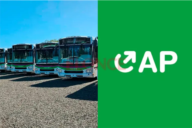 Nuevo servicio de colectivos en Paran: Cmo bajar la app para consultar recorridos, paradas y frecuencias