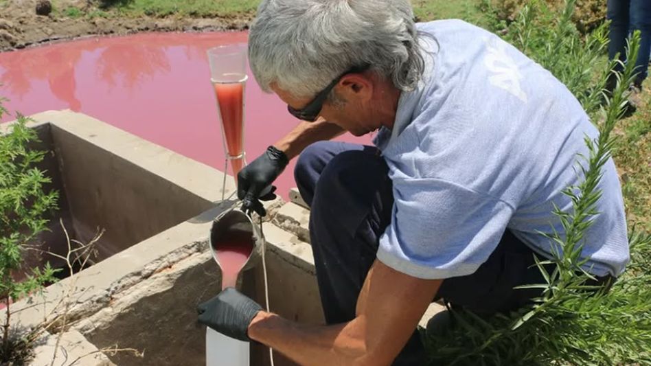 Procesan al presidente de un frigorfico de Roque Prez por contaminar el Ro Salado