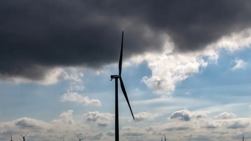 Una jueza de EEUU rechaza que el Gobierno de Trump paralice los permisos de energa elica