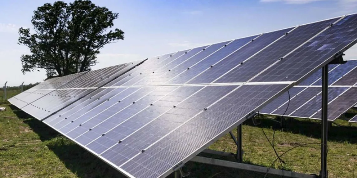 El parque solar que se construye en cercanas de Roca inyectar energa a Junn