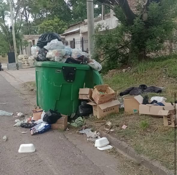 La Arquitecta Claudia Silva, ex subsecretaria del gobierno de Javier Martnez, denuncia el abandono del servicio de recoleccin de residuos en su barrio a travs de redes sociales