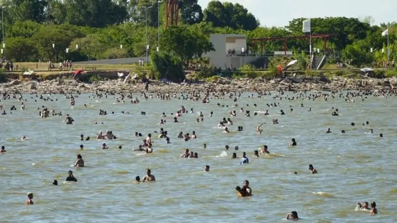 Hay viagra en el R�o de la Plata: el sorprendente descubrimiento del CONICET en el AMBA