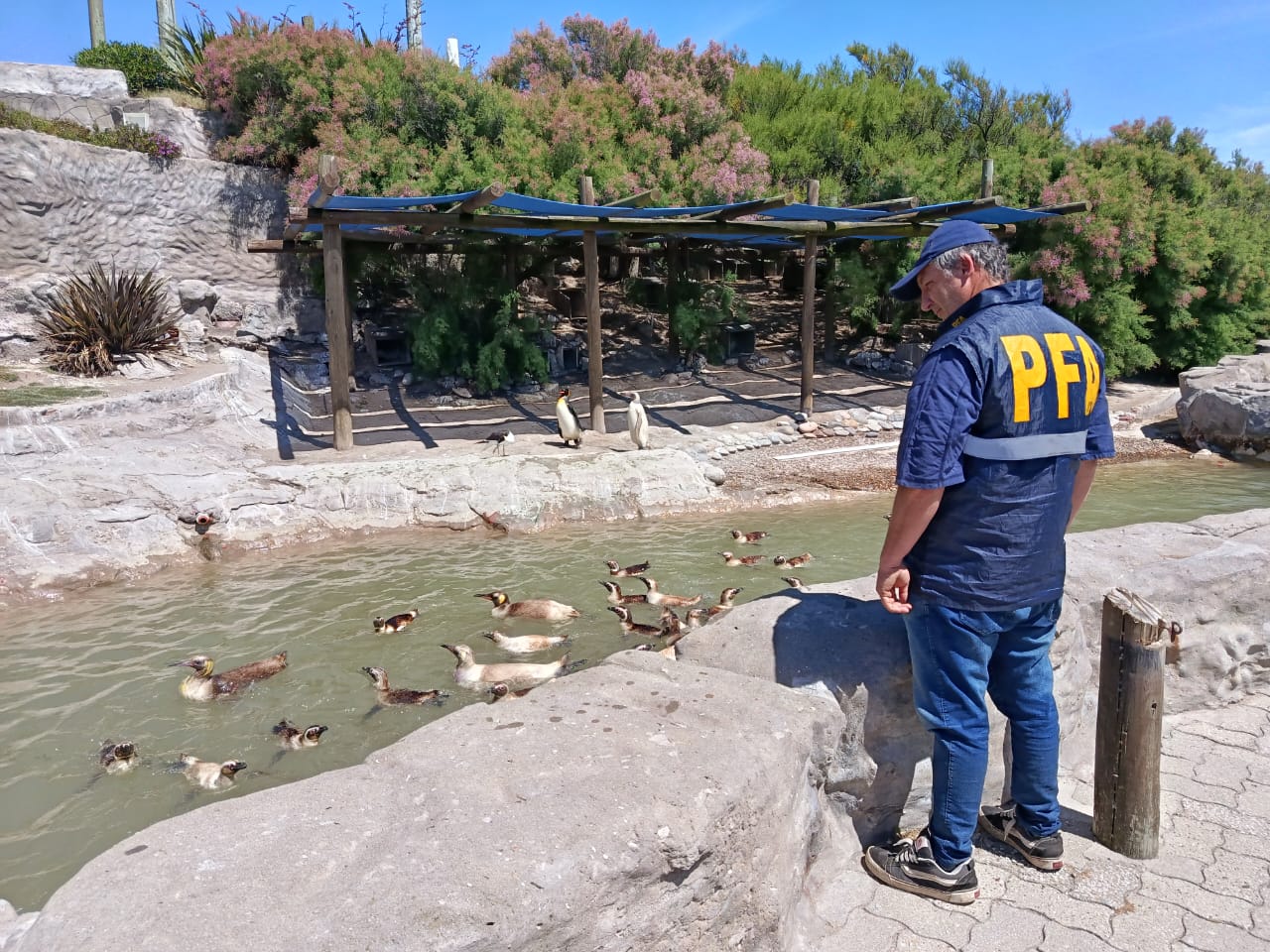 Mar del Plata: allanaron un parque marino por presunta contaminaci�n a la red colectora y el Mar Argentino