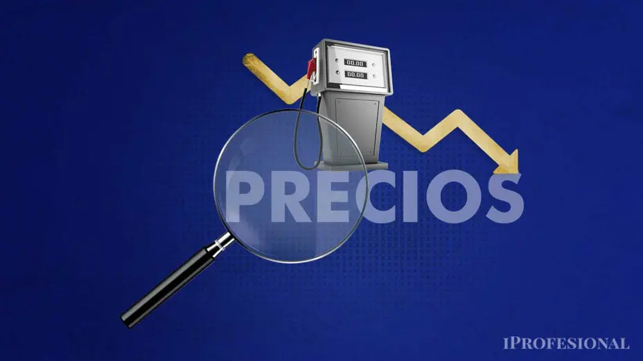 Ranking del precio de la nafta en Argentina: provincias m�s caras y m�s baratas para llenar el tanque